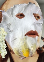 https://www.studiodaubal.com:443/files/gimgs/th-44_lys m f web.jpg